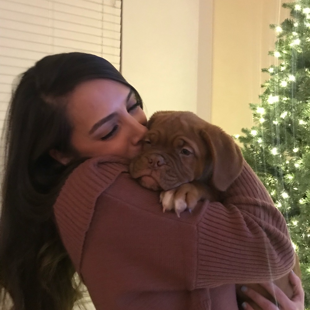 Meet your Posher, Julia